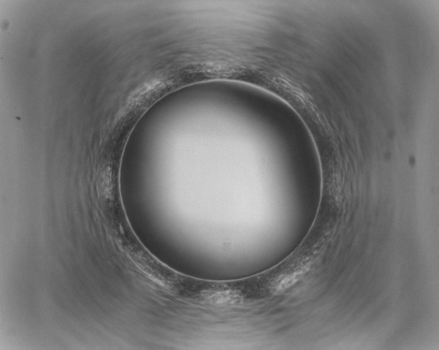 X0000060780689200511171243