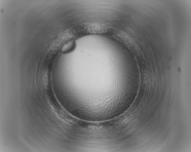 X0000060780690200511171243