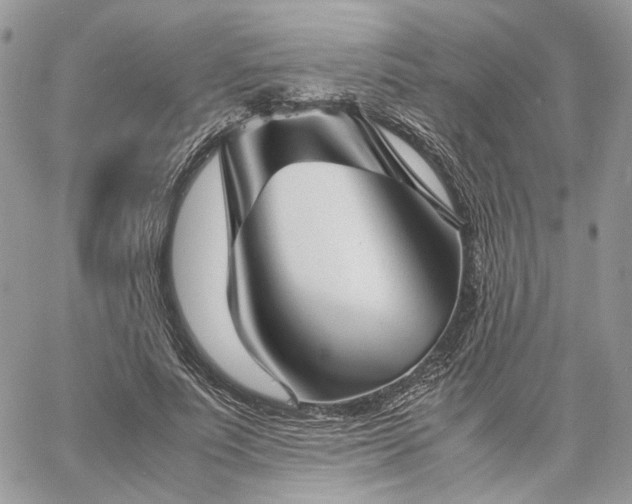 X0000060780691200511171243