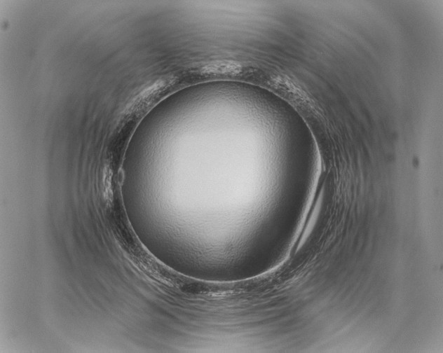 X0000060780692200511171243