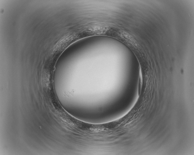 X0000060780693200511171243