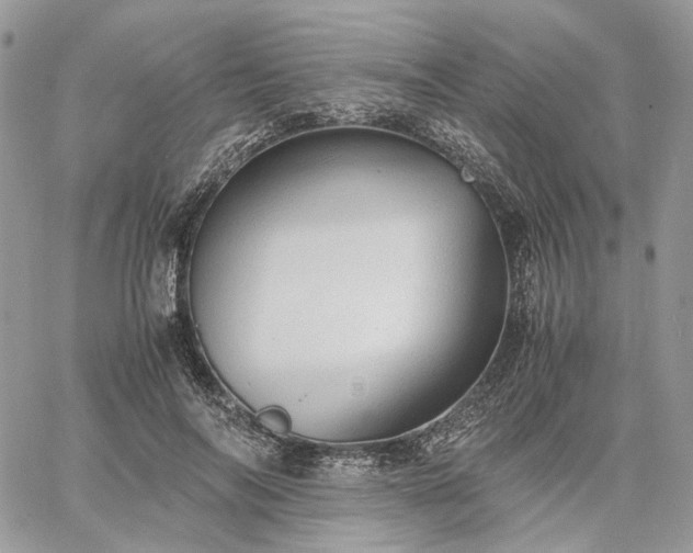 X0000060780694200511171243