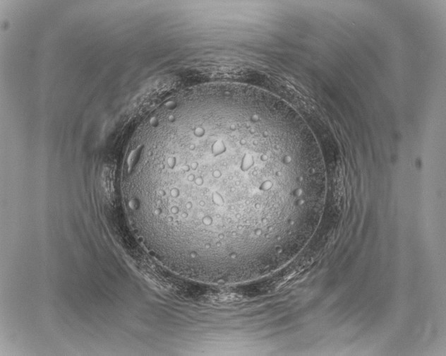 X0000060780695200511171243