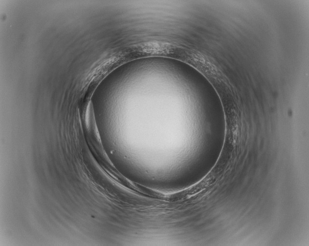 X0000060780696200511171243