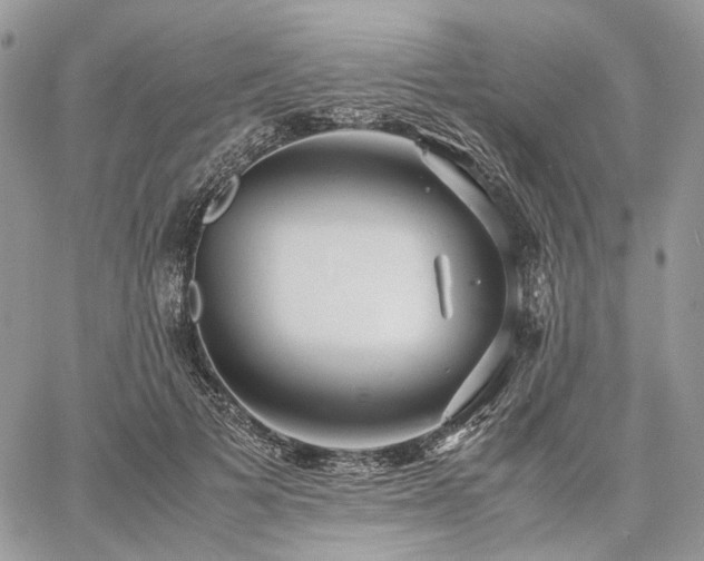 X0000060780697200511171243