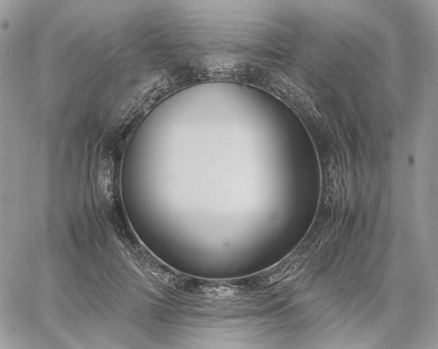 X0000060780698200511171243