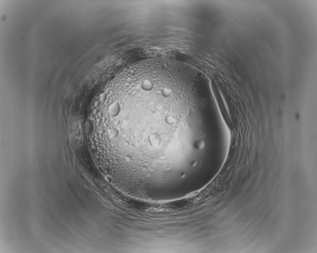 X0000060780699200511171243