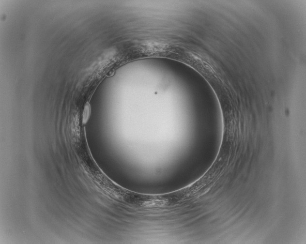 X0000060780700200511171243