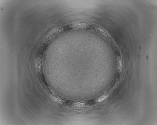 X0000060780701200511171243