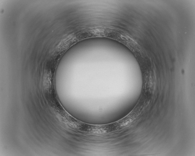 X0000060780702200511171243