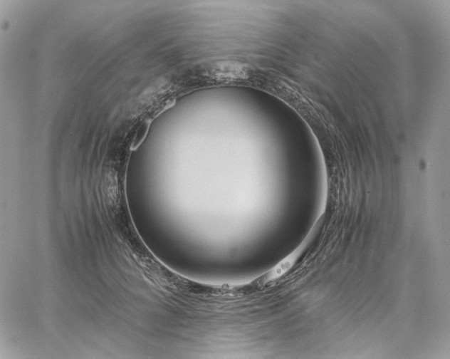 X0000060780704200511171243