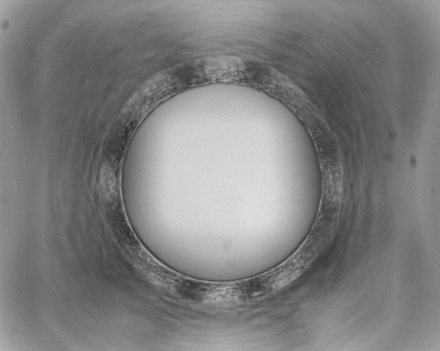 X0000060780705200511171243