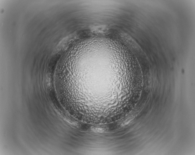 X0000060780706200511171243