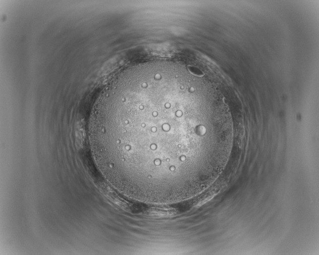 X0000060780707200511171243