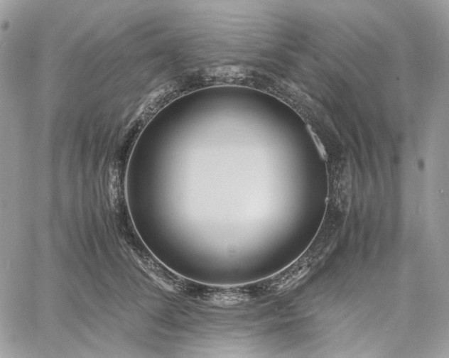 X0000060780708200511171243