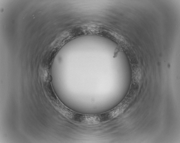 X0000060780709200511171243