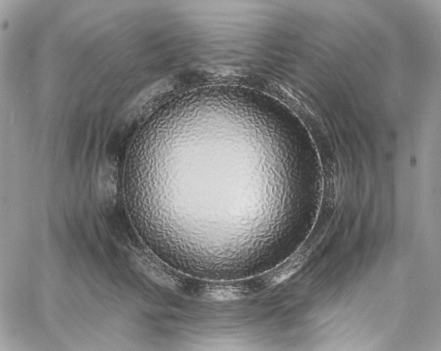 X0000060780710200511171243