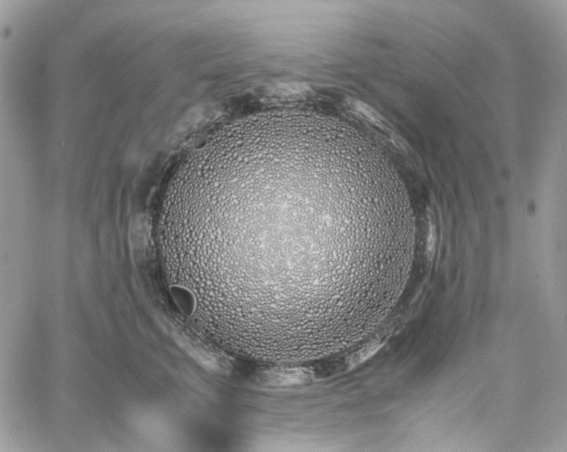 X0000060780711200511171243