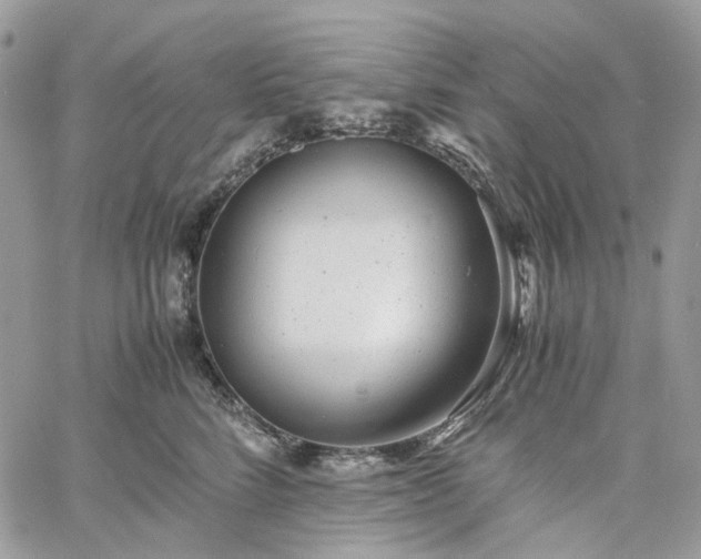 X0000060780712200511171243