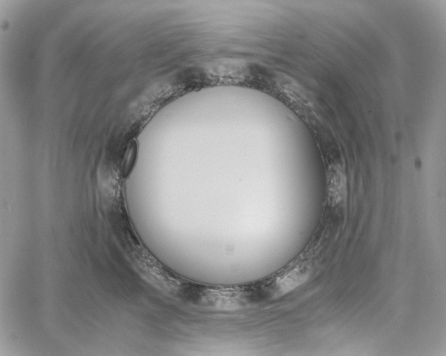 X0000060780713200511171243