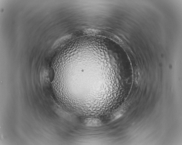 X0000060780714200511171243