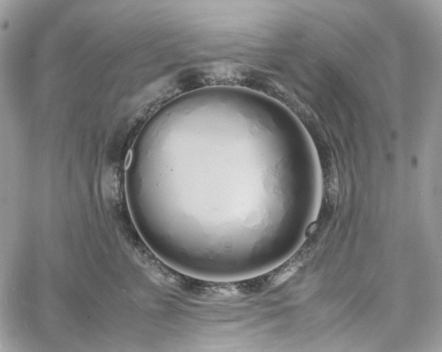 X0000060780715200511171243