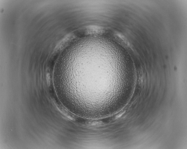 X0000060780716200511171243