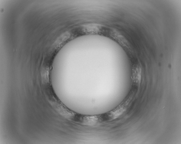 X0000060780717200511171243