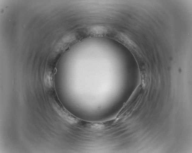 X0000060780718200511171243