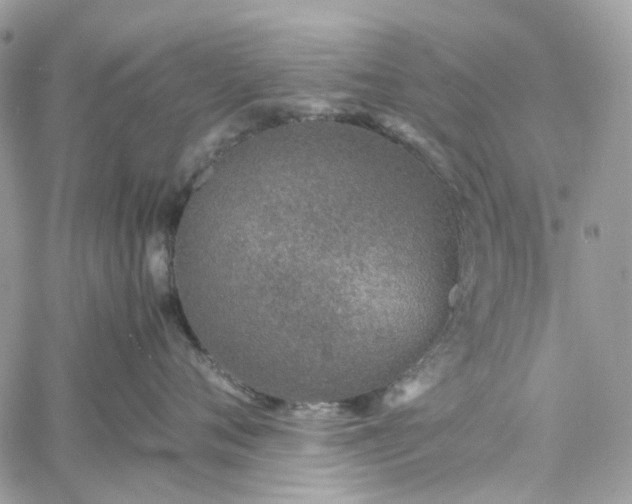 X0000060780720200511171243