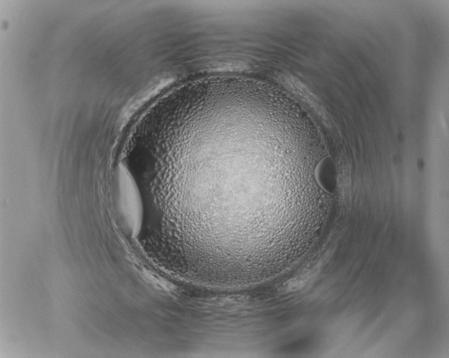 X0000060780721200511171242