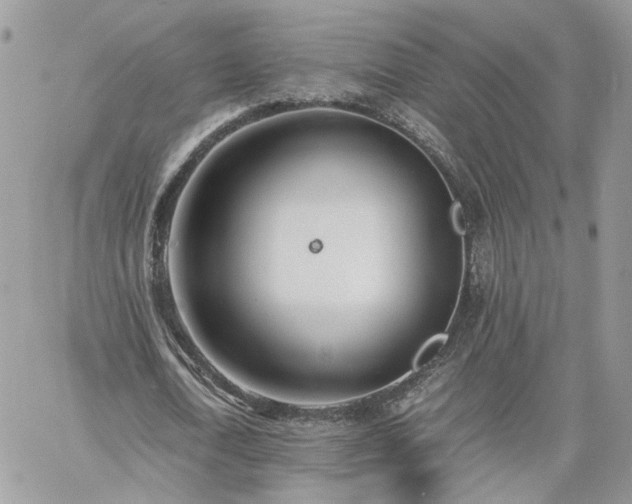 X0000060780722200511171242