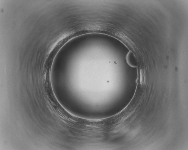 X0000060780723200511171242