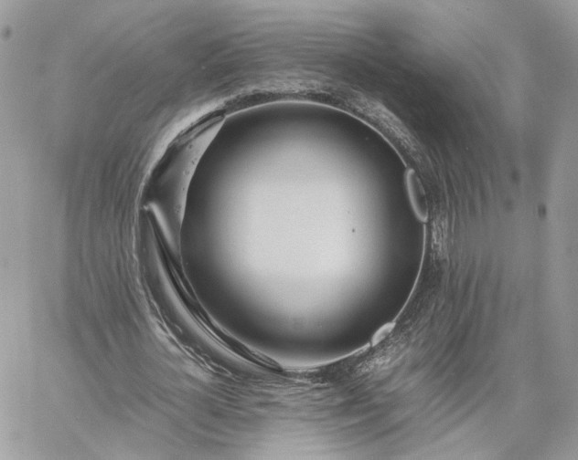 X0000060780724200511171242