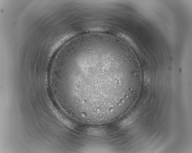 X0000060780725200511171242