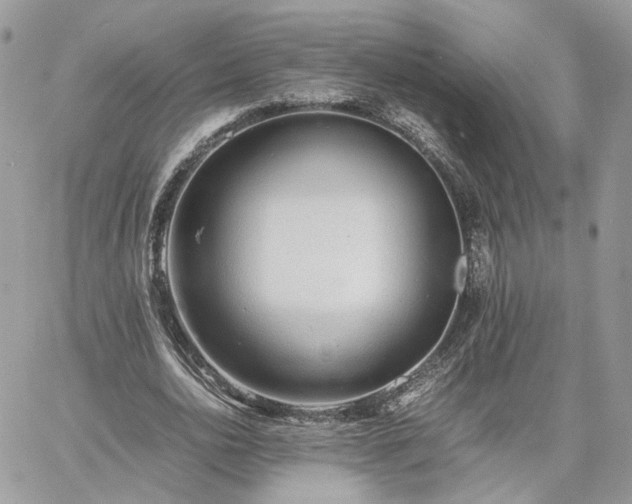 X0000060780726200511171242