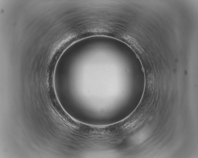 X0000060780727200511171242