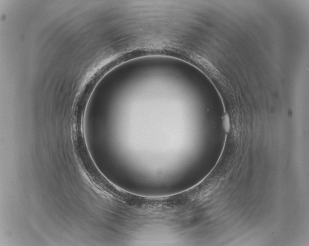 X0000060780728200511171242