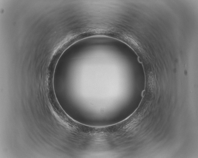 X0000060780730200511171242