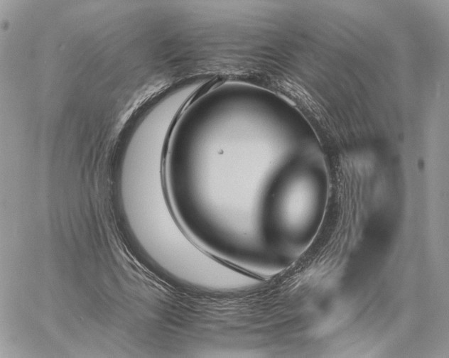 X0000060780731200511171242