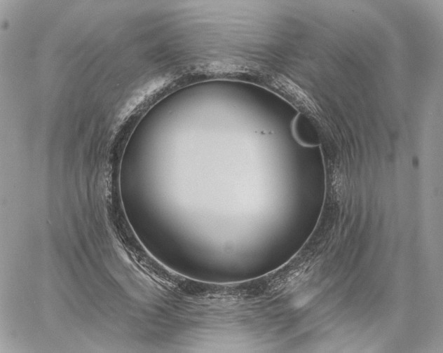 X0000060780732200511171242