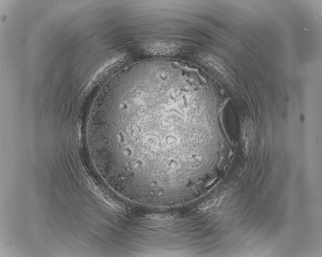 X0000060780733200511171242