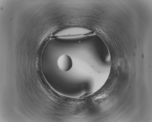 X0000060780735200511171242