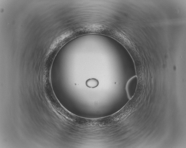 X0000060780736200511171242