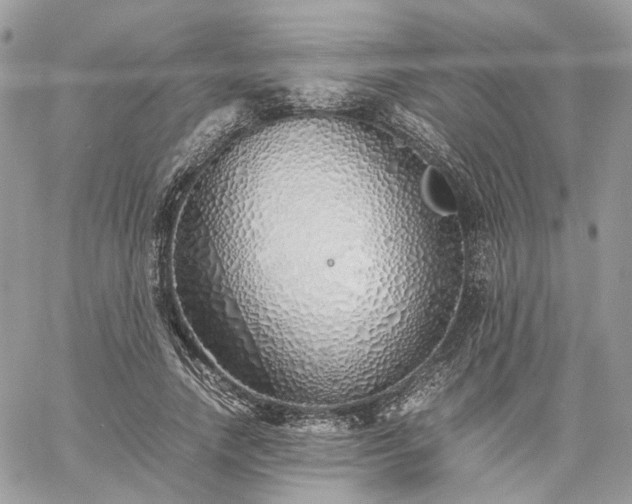 X0000060780738200511171242