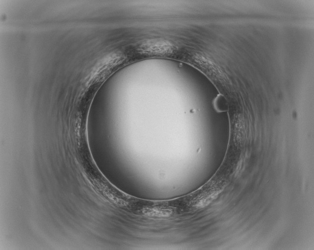 X0000060780739200511171242