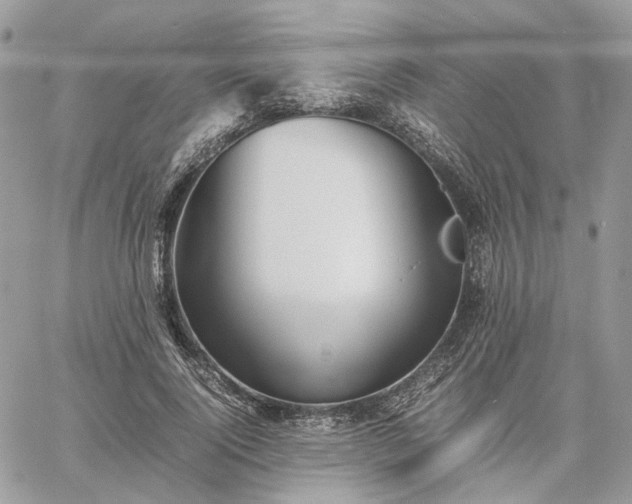 X0000060780740200511171242