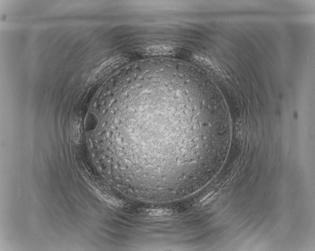 X0000060780741200511171242