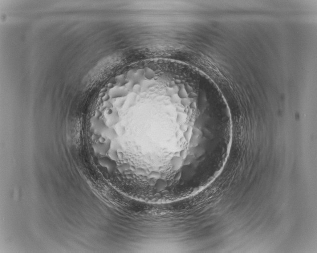 X0000060780742200511171242