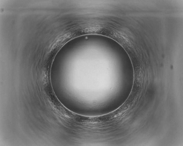 X0000060780743200511171242